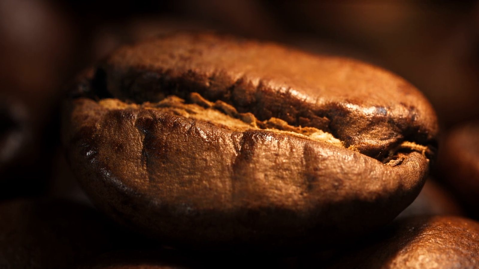 A frame from First Crack, a coffee roasting film